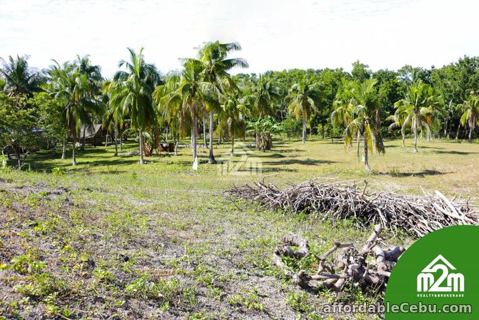 1st picture of Villa Maria Luisa(LOT ONLY) Montana, Baclayon, Bohol, Philipines For Sale in Cebu, Philippines