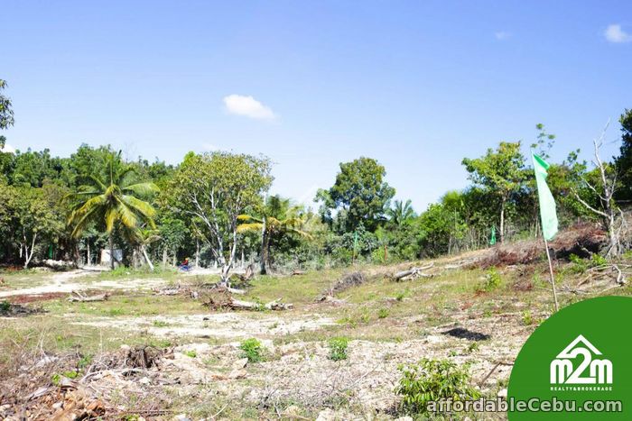 3rd picture of Villa Maria Luisa(LOT ONLY) Montana, Baclayon, Bohol, Philipines For Sale in Cebu, Philippines