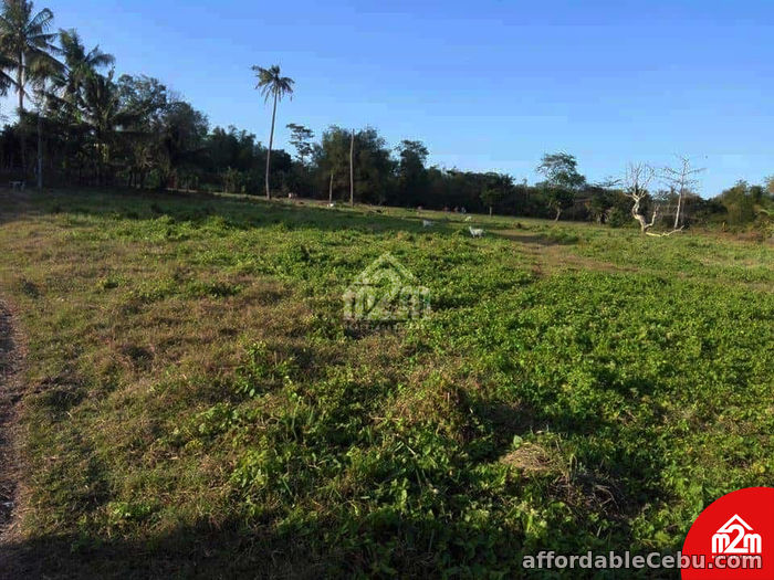 5th picture of Brentville Bogo(LOT ONLY) Pulambato Bogo City, Cebu For Sale in Cebu, Philippines