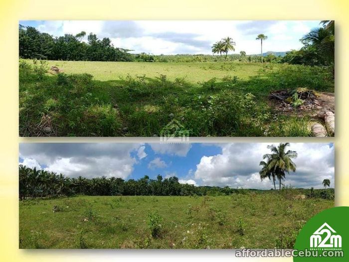 2nd picture of San Isidro Enclave(LOT ONLY) Calidngan, Carcar City, Cebu For Sale in Cebu, Philippines