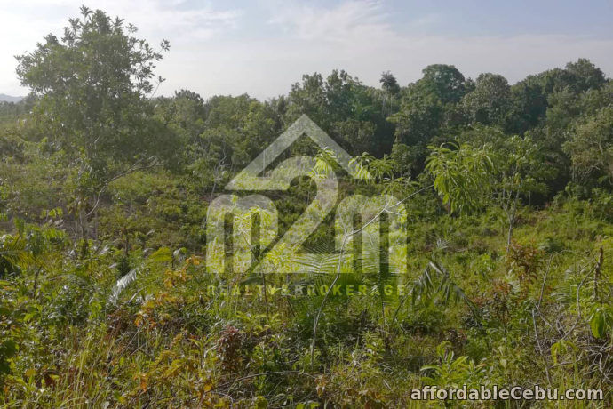 5th picture of Vida Feliz Subdivision(LOT ONLY)Cabawan, Tagbilaran, null, Bohol, Philipines For Sale in Cebu, Philippines