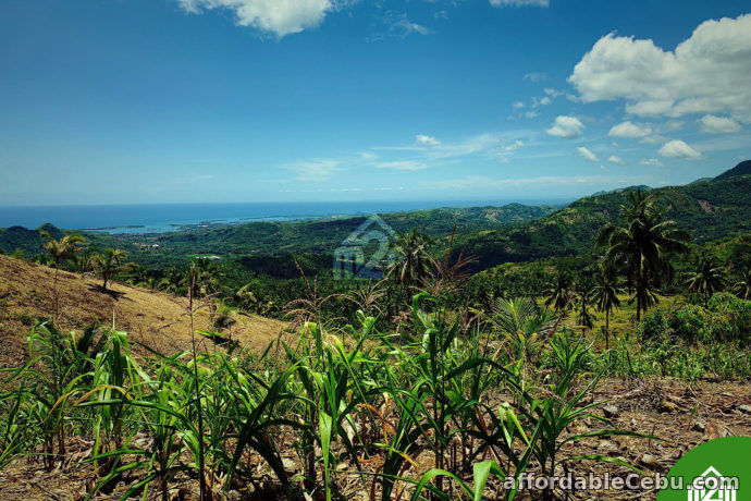 3rd picture of North Meadows Subdivision(LOT ONLY) Carmen, Cebu City For Sale in Cebu, Philippines