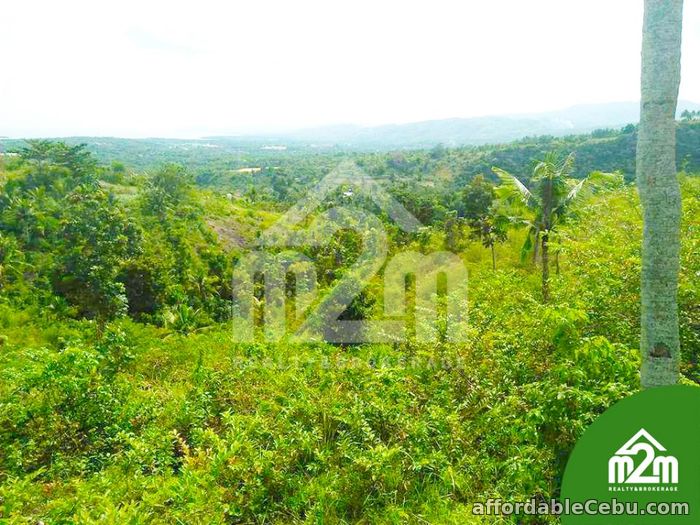 4th picture of Top Ville Subdivision(LOT ONLY) Can-asujan,Carcar, Cebu For Sale in Cebu, Philippines