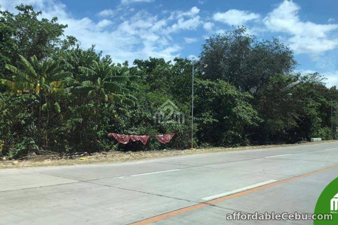 1st picture of Cloverville Subdivision(LOT ONLY) Totolan, Dauis, Bohol For Sale in Cebu, Philippines