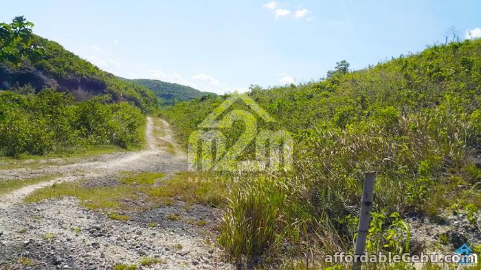 2nd picture of Mountain Breeze(LOT ONLY) Sandayong Sur, Danao City For Sale in Cebu, Philippines