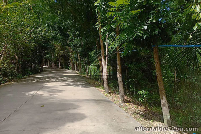 3rd picture of Buena Vida Heights(LOT ONLY) Cambanay Danao, Cebu City For Sale in Cebu, Philippines