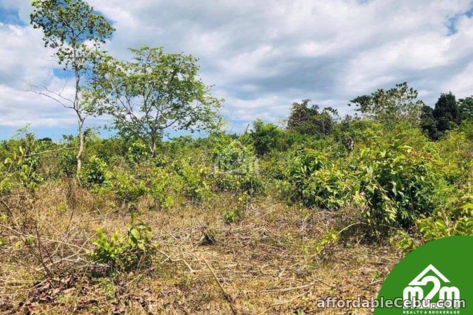 3rd picture of Cloverville Subdivision(LOT ONLY) Totolan, Dauis, Bohol For Sale in Cebu, Philippines