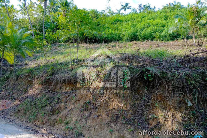 3rd picture of Amaziah Residences(LOT ONLY) Bagalnga, Compostela For Sale in Cebu, Philippines