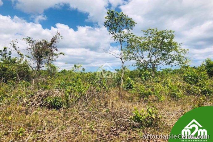 5th picture of Cloverville Subdivision(LOT ONLY) Totolan, Dauis, Bohol For Sale in Cebu, Philippines