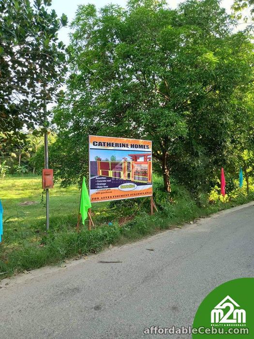 4th picture of Catherine Homes(LOT ONLY) Can-Asujan, Carcar City, Cebu For Sale in Cebu, Philippines