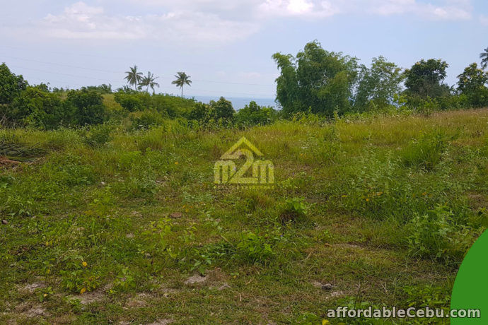 5th picture of La Verna Residences(LOT ONLY) Brgy. Can-asujan, Carcar City, Cebu For Sale in Cebu, Philippines