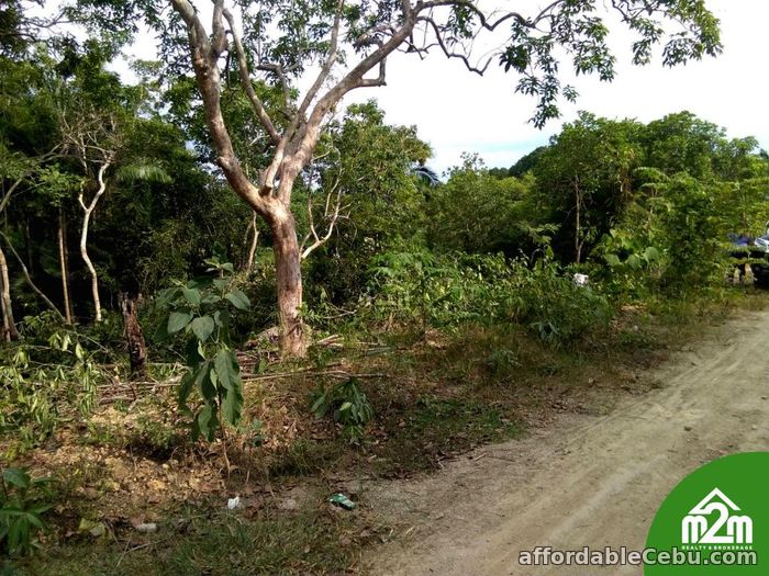 3rd picture of Fermosa Vue(LOT ONLY) La Libertad, Baclayon, Bohol, Philipines For Sale in Cebu, Philippines