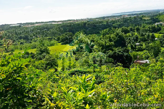 2nd picture of Vista Del Mari(LOT ONLY) Tamiao, Compostela, Cebu City For Sale in Cebu, Philippines