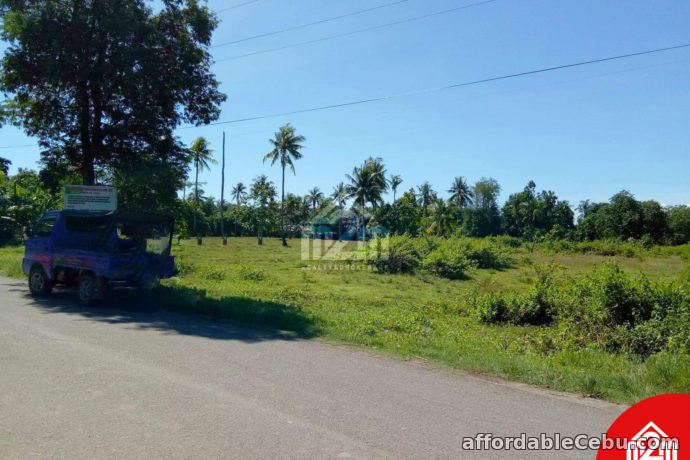 5th picture of Erizo De Mar Subdivision(LOT ONLY) Brgy. Tuyom, Carcar City, Cebu For Sale in Cebu, Philippines