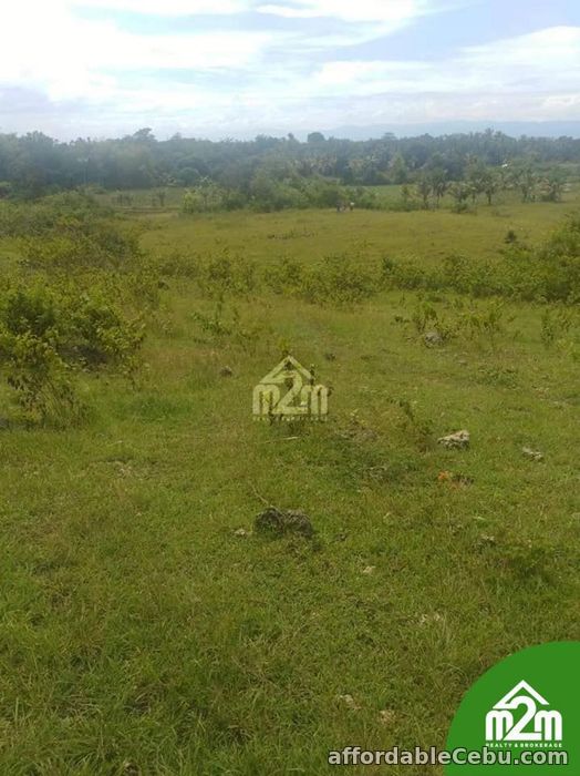 1st picture of Zion Isabel Subdivision(LOT ONLY) Tomonoy, Moalboal, Cebu, Cebu, Philipines For Sale in Cebu, Philippines