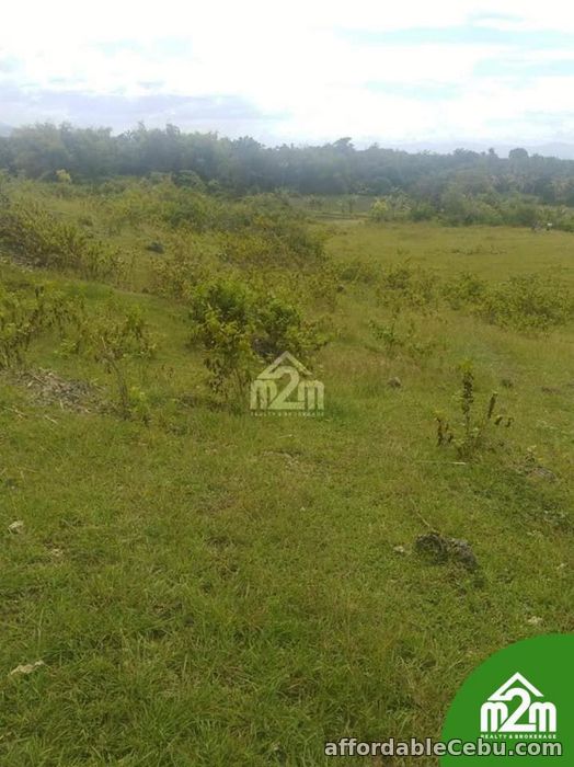 2nd picture of Zion Isabel Subdivision(LOT ONLY) Tomonoy, Moalboal, Cebu, Cebu, Philipines For Sale in Cebu, Philippines