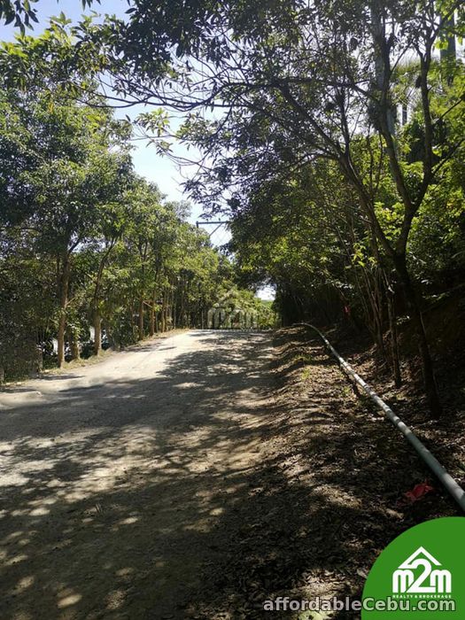 1st picture of Haribel Residences(LOT ONLY) Brgy. Polog, Consolacion, Cebu, Philipines For Sale in Cebu, Philippines