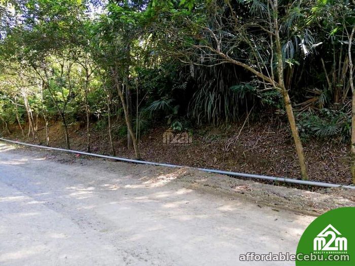 4th picture of Haribel Residences(LOT ONLY) Brgy. Polog, Consolacion, Cebu, Philipines For Sale in Cebu, Philippines