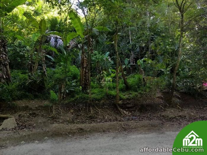 2nd picture of Haribel Residences(LOT ONLY) Brgy. Polog, Consolacion, Cebu, Philipines For Sale in Cebu, Philippines