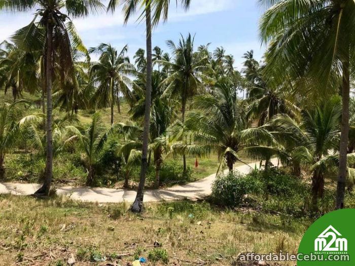 4th picture of Breeze Highlands(LOT ONLY)Sogod, Cebu, Cebu, Philipines For Sale in Cebu, Philippines