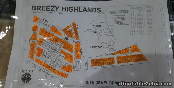 5th picture of Breeze Highlands(LOT ONLY)Sogod, Cebu, Cebu, Philipines For Sale in Cebu, Philippines