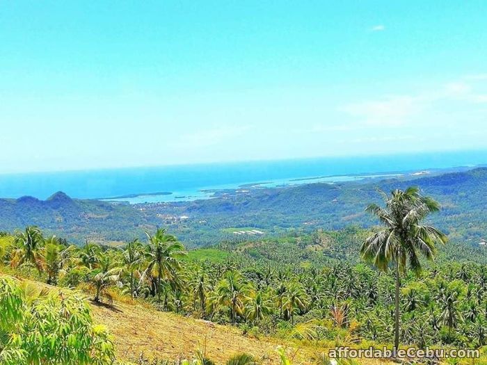1st picture of RESENDIAL FARM LOT FOR SALE For Sale in Cebu, Philippines