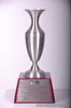 TROPHIES - Looking for award trophies for your occasions