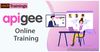 Apigee Training Online ; Certification Course Online - HKR