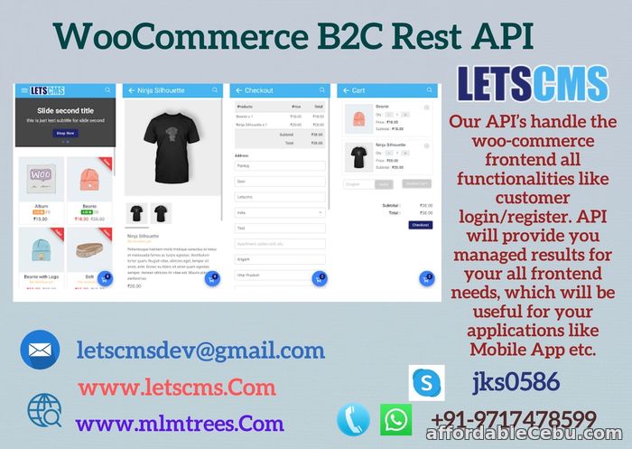 1st picture of Woocommerce Business to Customer Rest API | B2C API Woocommerce | WordPress B2C Plugin For Sale in Cebu, Philippines