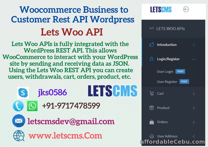 1st picture of WordPress Rest API Plugin | Business to Customer Rest API Woocommerce For Sale in Cebu, Philippines