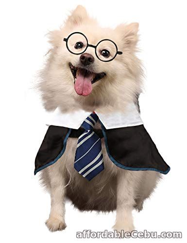 1st picture of Coomour Wizard Cosutme Pet Puppy Cute Outfits Clothes for Dogs Cats Shirt with Glasses For Sale in Cebu, Philippines