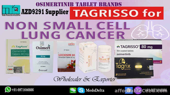 1st picture of Indian Osimertinib Tablet Tagrix Beacon Price Online For Sale in Cebu, Philippines