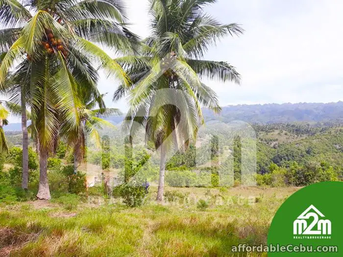 2nd picture of Installment Lot for SALE in Calangcang, Badian, Cebu For Sale in Cebu, Philippines