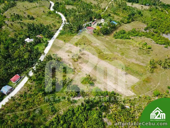 1st picture of Installment Lot for SALE in Calangcang, Badian, Cebu For Sale in Cebu, Philippines
