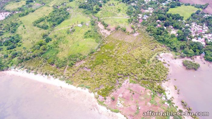 1st picture of 55 SQM Beach Lot for SALE in Daan Lungsod, Medellin Cebu For Sale in Cebu, Philippines