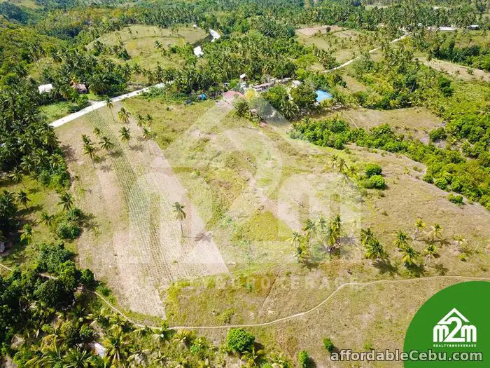 4th picture of Installment Lot for SALE in Calangcang, Badian, Cebu For Sale in Cebu, Philippines