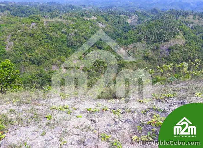 5th picture of Installment Lot for SALE in Calangcang, Badian, Cebu For Sale in Cebu, Philippines