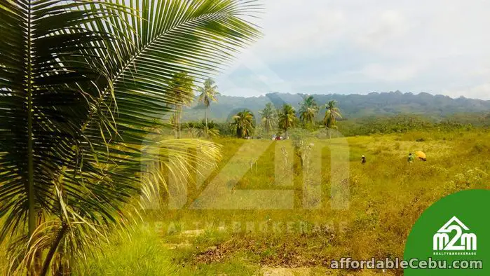 3rd picture of Installment Lot for SALE in Calangcang, Badian, Cebu For Sale in Cebu, Philippines