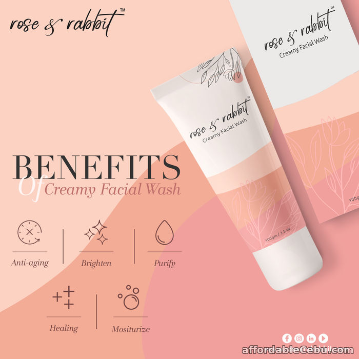 1st picture of Rose & Rabbit - Best Face Wash - Oily Face Wash For Sale in Cebu, Philippines