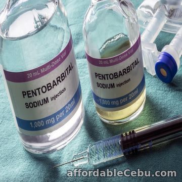 1st picture of BUY BARBITURATE SODIUM PENTOBARBITAL – BUY NEMBUTAL Announcement in Cebu, Philippines