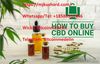 how to buy CBD oil in Europe