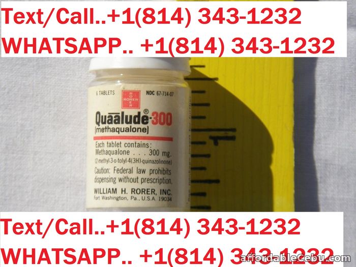1st picture of Discount Quaalude-Lemmon 300mg:+1(832) 554 6292 For Sale in Cebu, Philippines