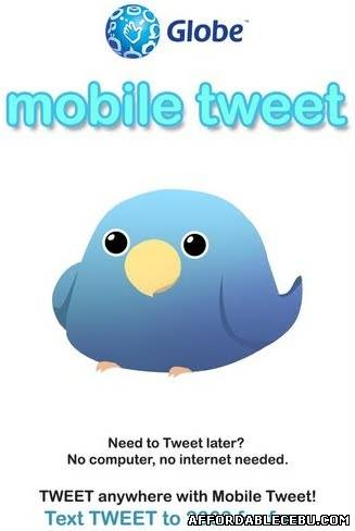 Picture of How to Register Your Globe Mobile Phone Account to Twitter