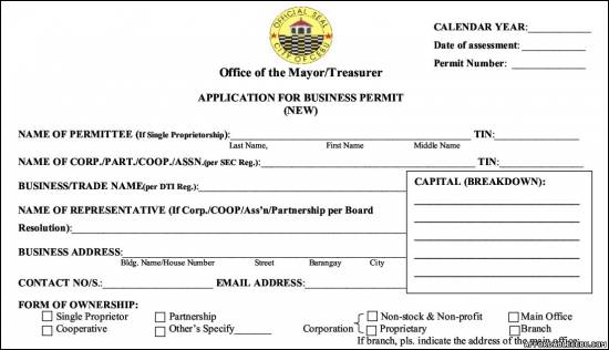 Picture of Cebu Business Permit Application Form