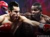 Picture of Donaire vs. Rigondeaux Boxing Replay Video