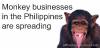 Picture of List of Ponzi/Pyramiding Scams in the Philippines: Study them for the safety of your money