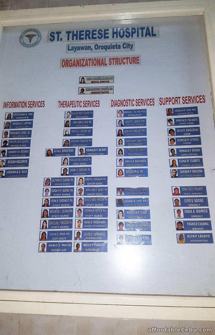 Sample Hospital Organizational Chart