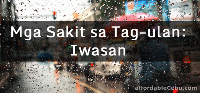 Sanaysay Tungkol sa Mga Sakit sa Tagulan  Literature 30548