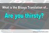 Picture of Translate "Are you thirsty" in Bisaya/Cebuano?