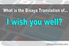 Picture of Translate "I wish you well" in Bisaya/Cebuano?